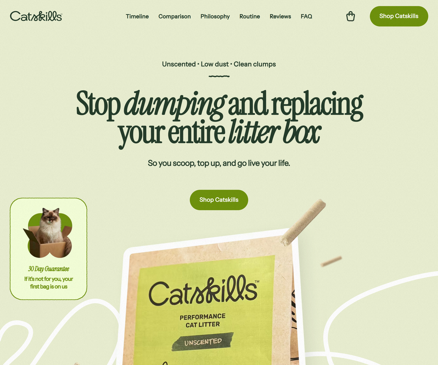 Catskills web design (Light, Minimal, Type-Based)